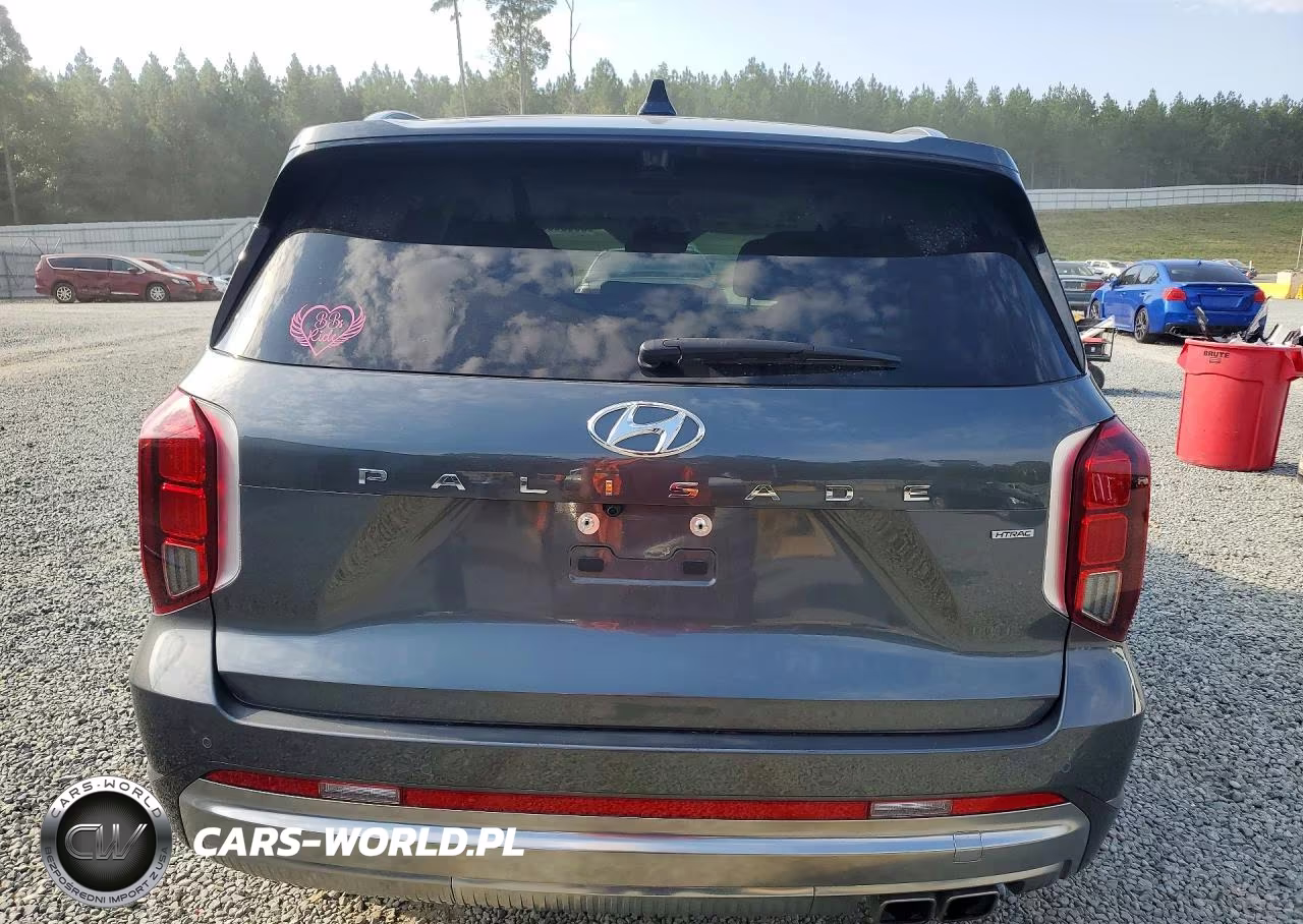 2024 Hyundai Palisade Calligraphy VIN:KM8R7DGE0RU697392 - 6