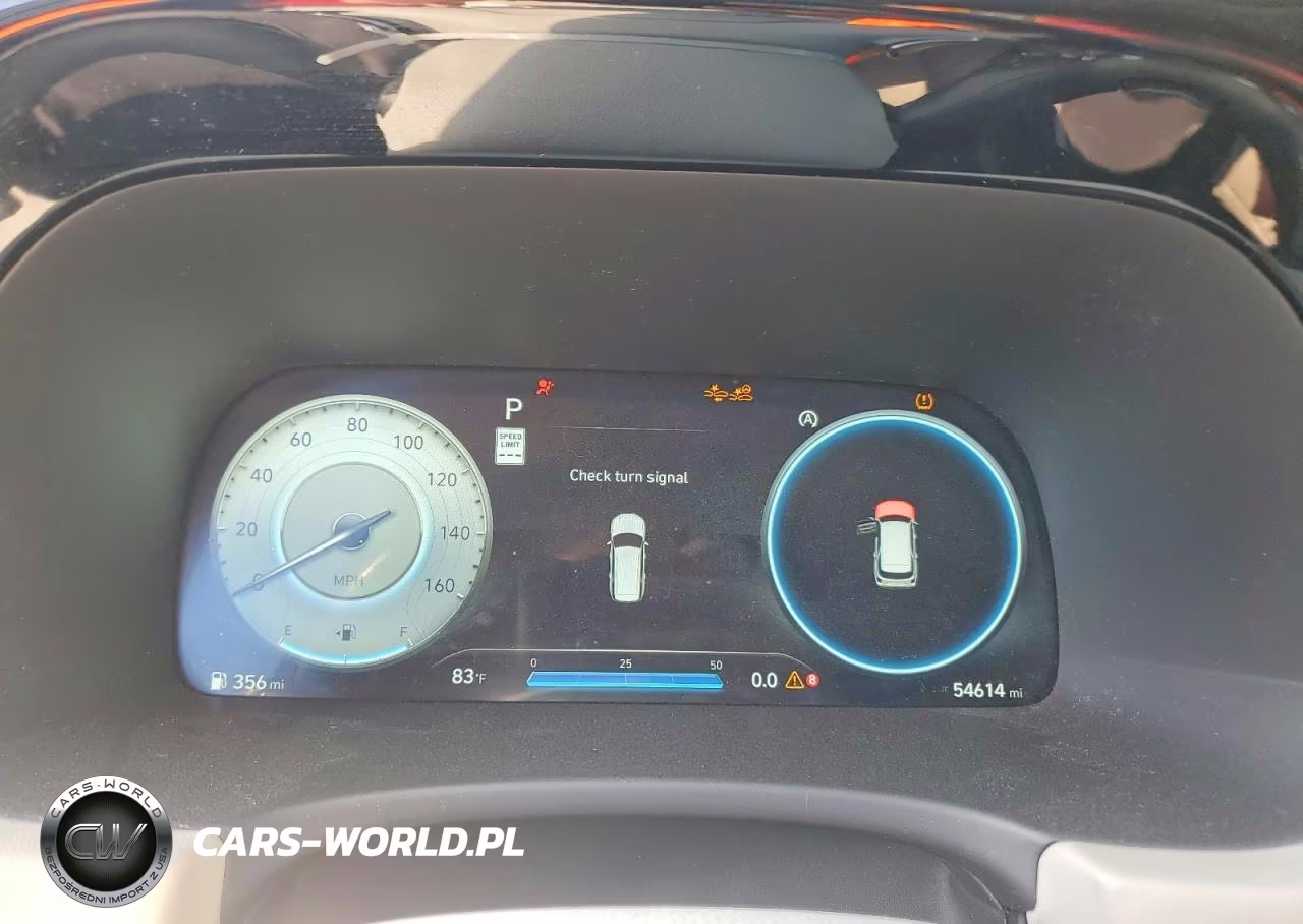 2024 Hyundai Palisade Calligraphy VIN:KM8R7DGE0RU697392 - 9
