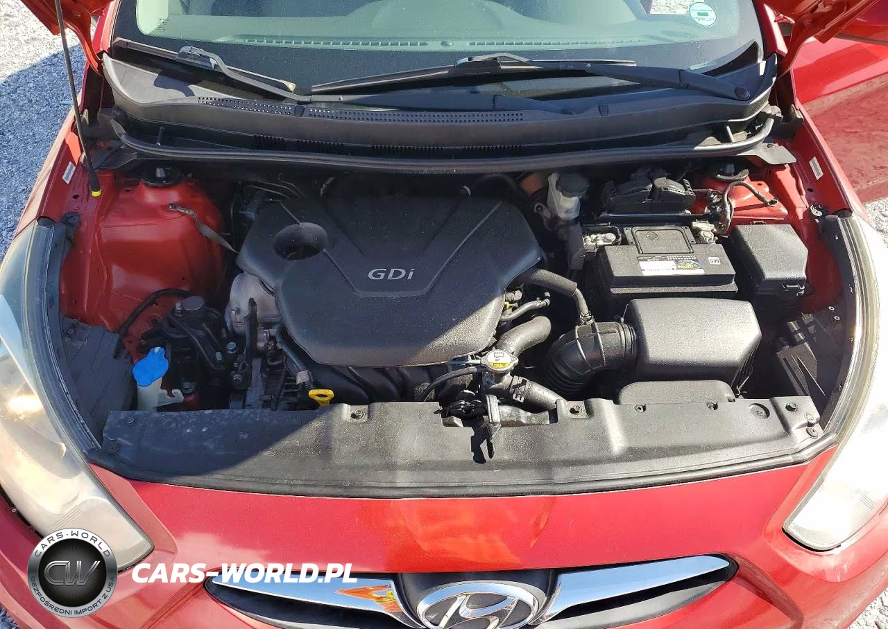 2014 Hyundai Accent Gs VIN:KMHCT5AE6EU162531 - 12