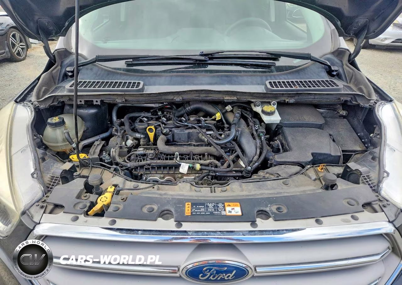 2019 Ford Escape Se VIN:1FMCU0GD2KUB04927 - 12