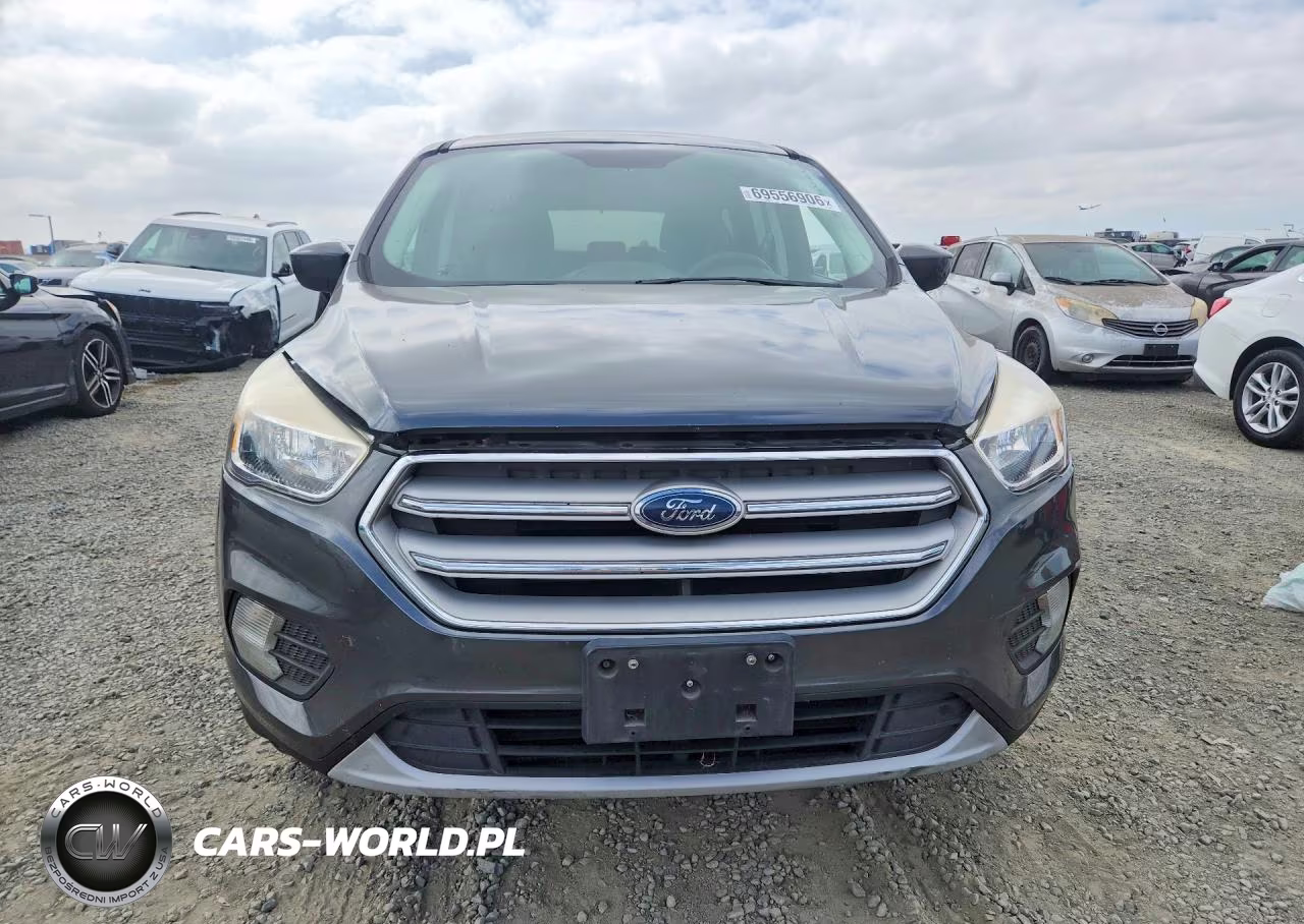 2019 Ford Escape Se VIN:1FMCU0GD2KUB04927 - 5