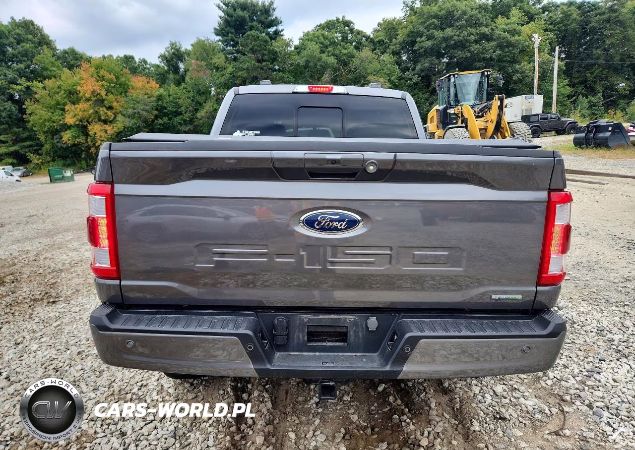 2023 Ford F150 Supercrew VIN:1FTFW1E86PKD12139 - 6