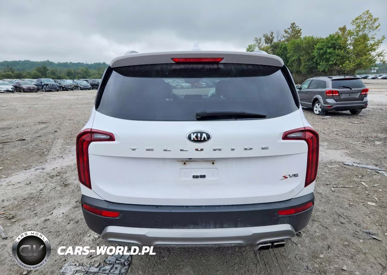 2021 Kia Telluride S VIN:5XYP64HC6MG118122 - 6