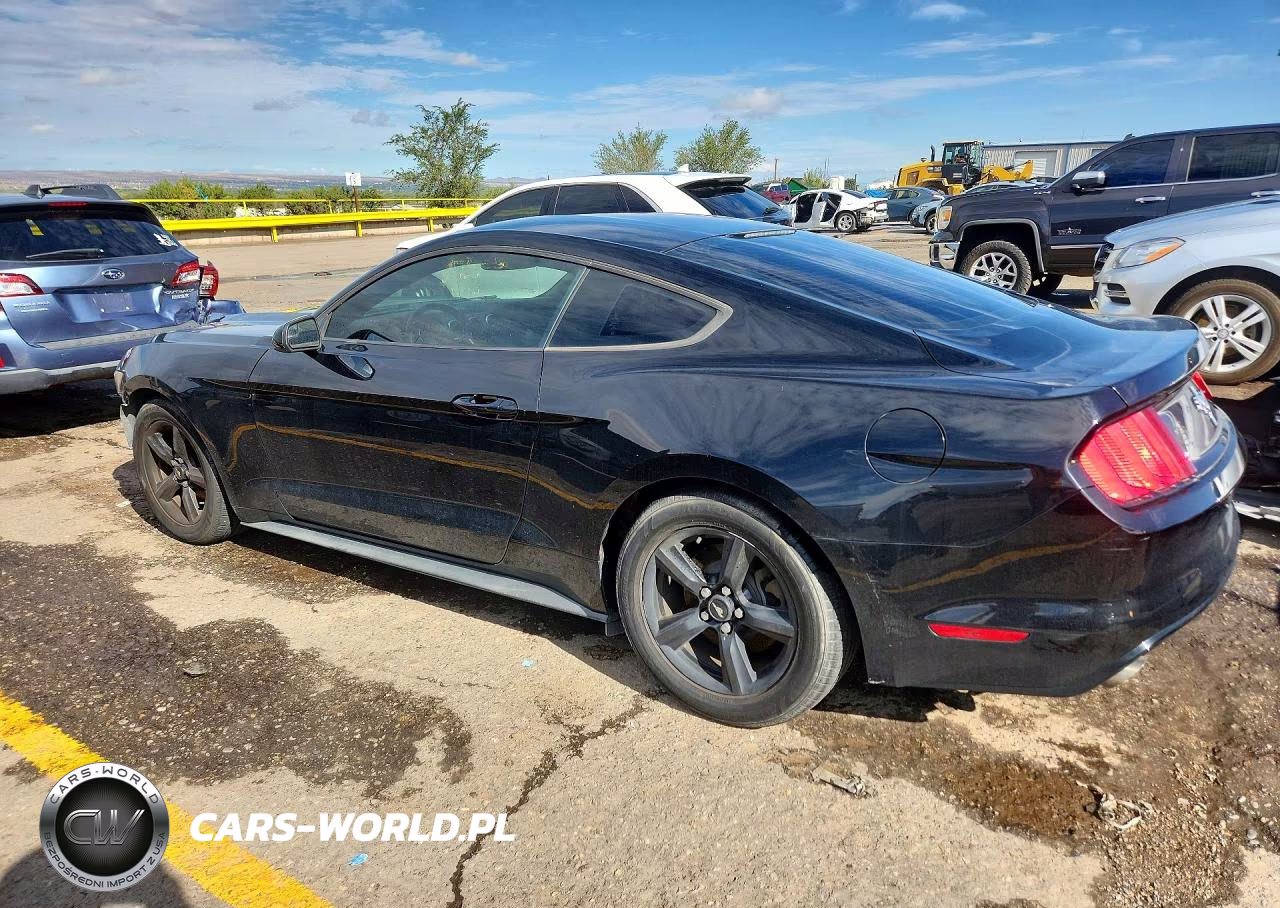 2017 Ford Mustang VIN:1FA6P8AM4H5333392 - 2