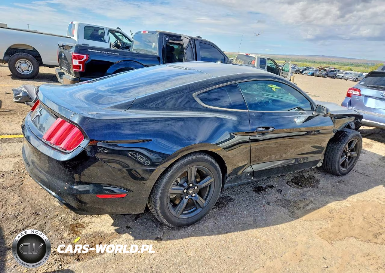 2017 Ford Mustang VIN:1FA6P8AM4H5333392 - 3