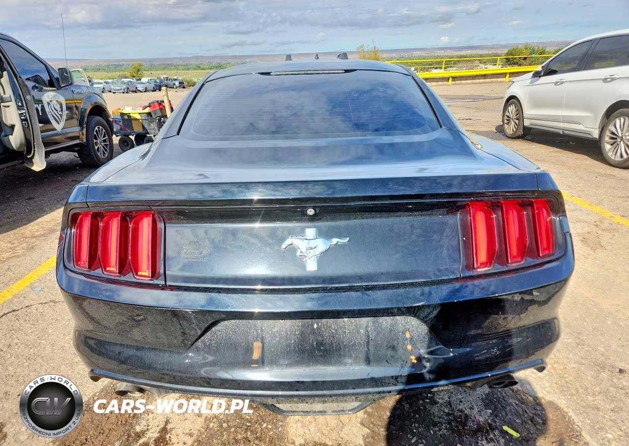 2017 Ford Mustang VIN:1FA6P8AM4H5333392 - 6