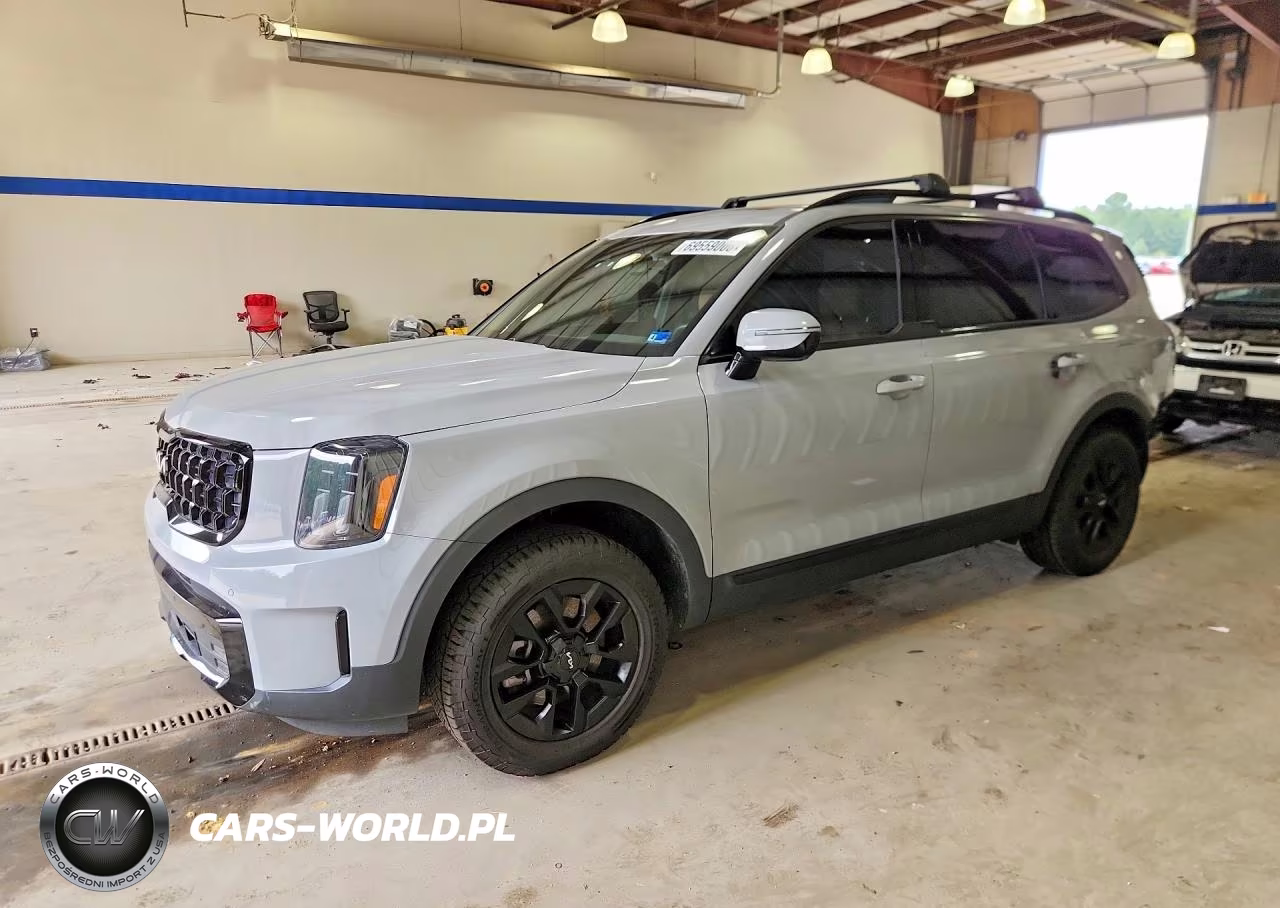 2024 Kia Telluride Sx X-Pro VIN:5XYP5DGC5RG507507 - 1