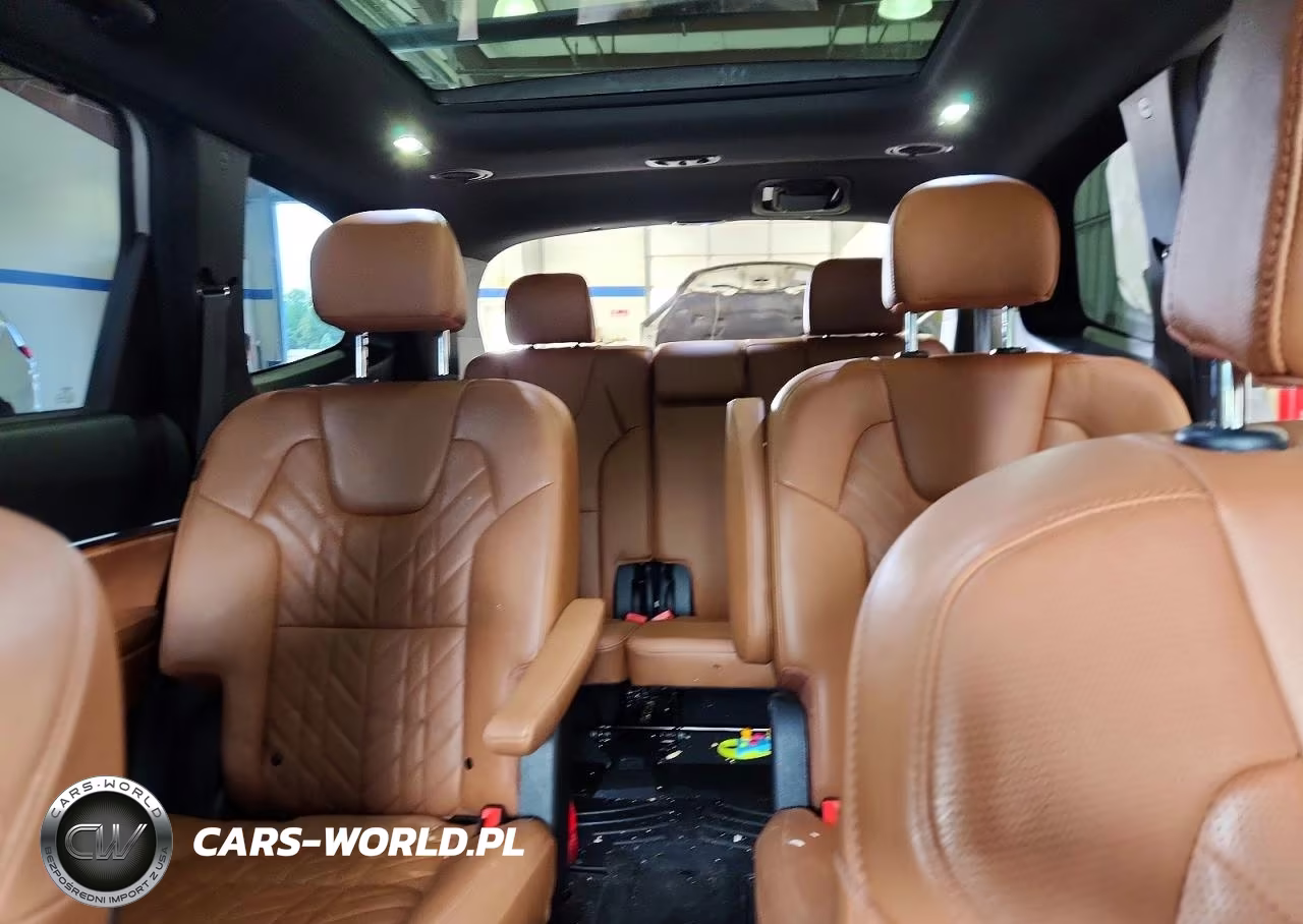 2024 Kia Telluride Sx X-Pro VIN:5XYP5DGC5RG507507 - 10