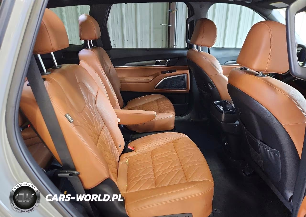 2024 Kia Telluride Sx X-Pro VIN:5XYP5DGC5RG507507 - 11