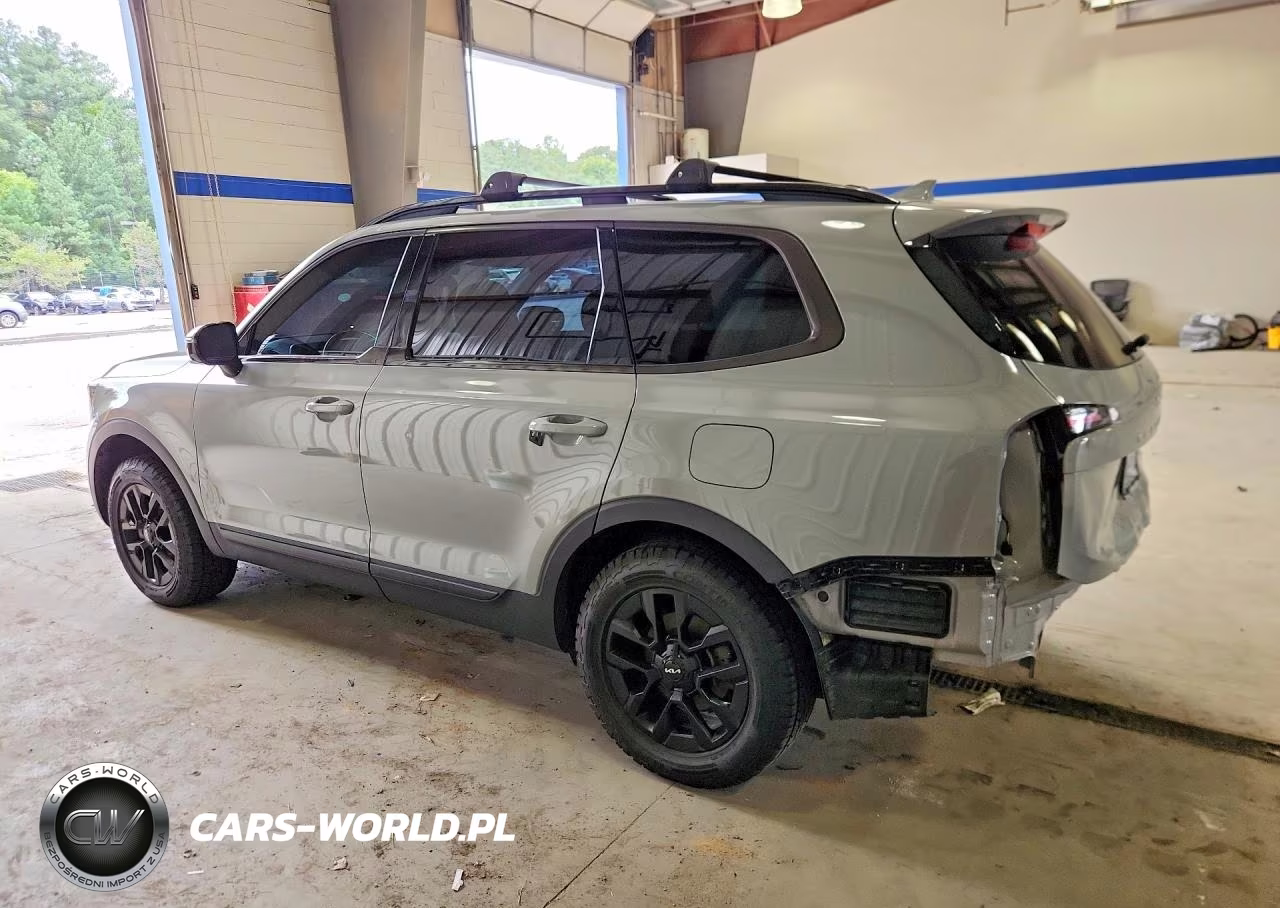 2024 Kia Telluride Sx X-Pro VIN:5XYP5DGC5RG507507 - 2