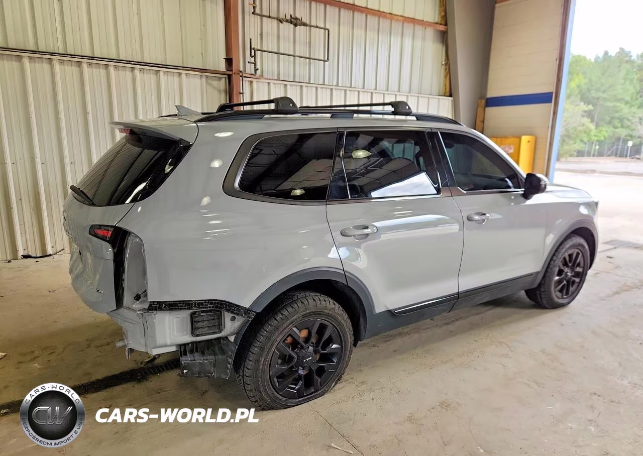 2024 Kia Telluride Sx X-Pro VIN:5XYP5DGC5RG507507 - 3