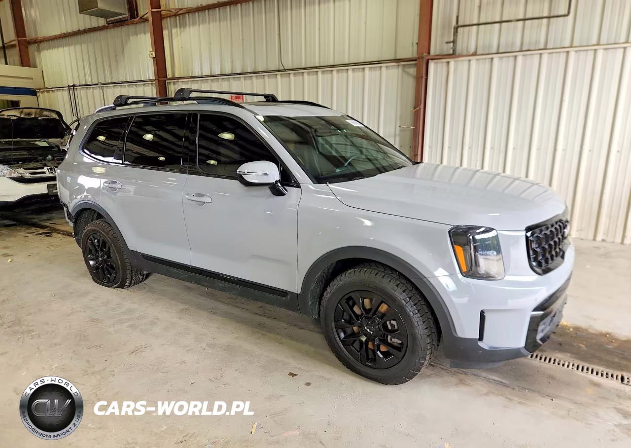 2024 Kia Telluride Sx X-Pro VIN:5XYP5DGC5RG507507 - 4