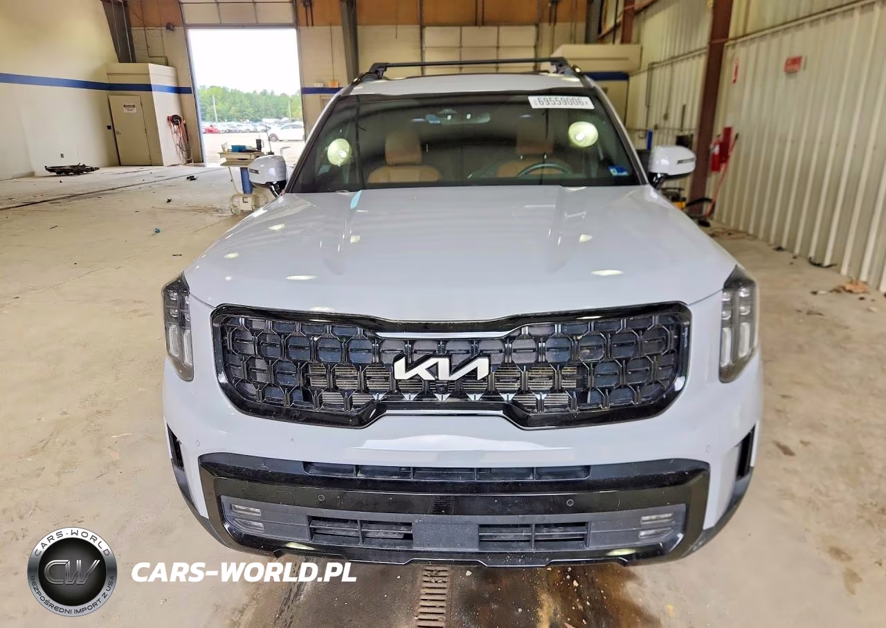 2024 Kia Telluride Sx X-Pro VIN:5XYP5DGC5RG507507 - 5