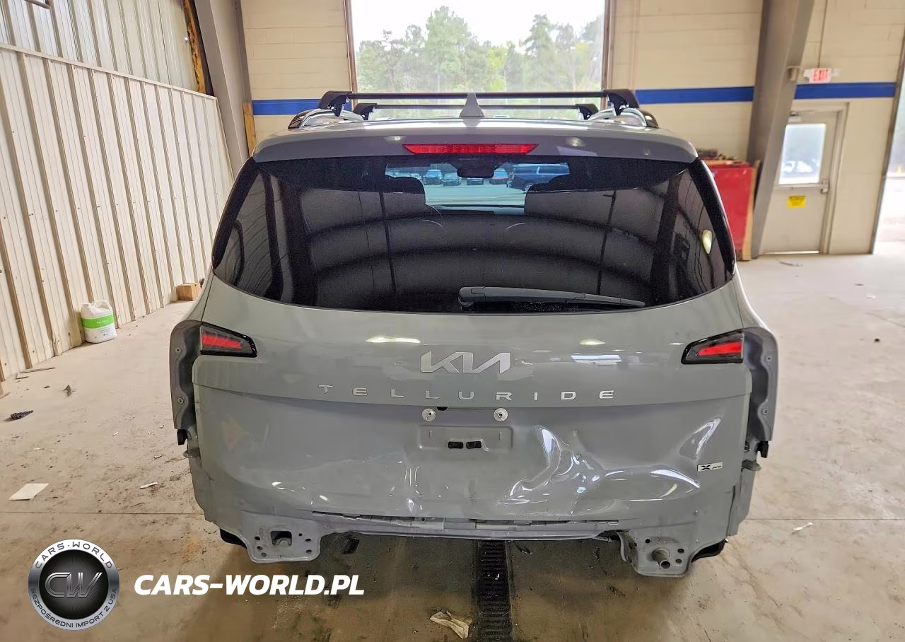 2024 Kia Telluride Sx X-Pro VIN:5XYP5DGC5RG507507 - 6