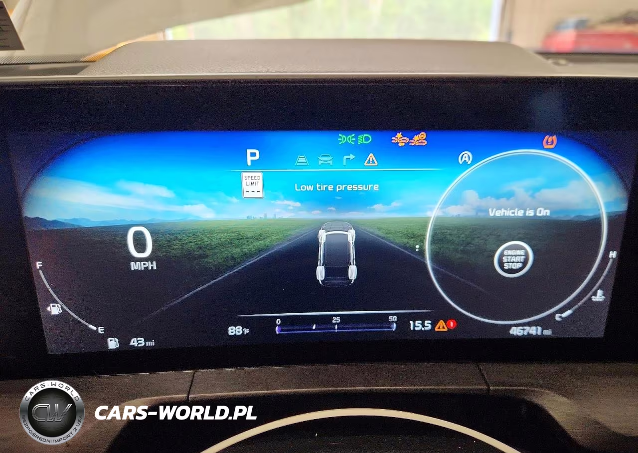 2024 Kia Telluride Sx X-Pro VIN:5XYP5DGC5RG507507 - 9