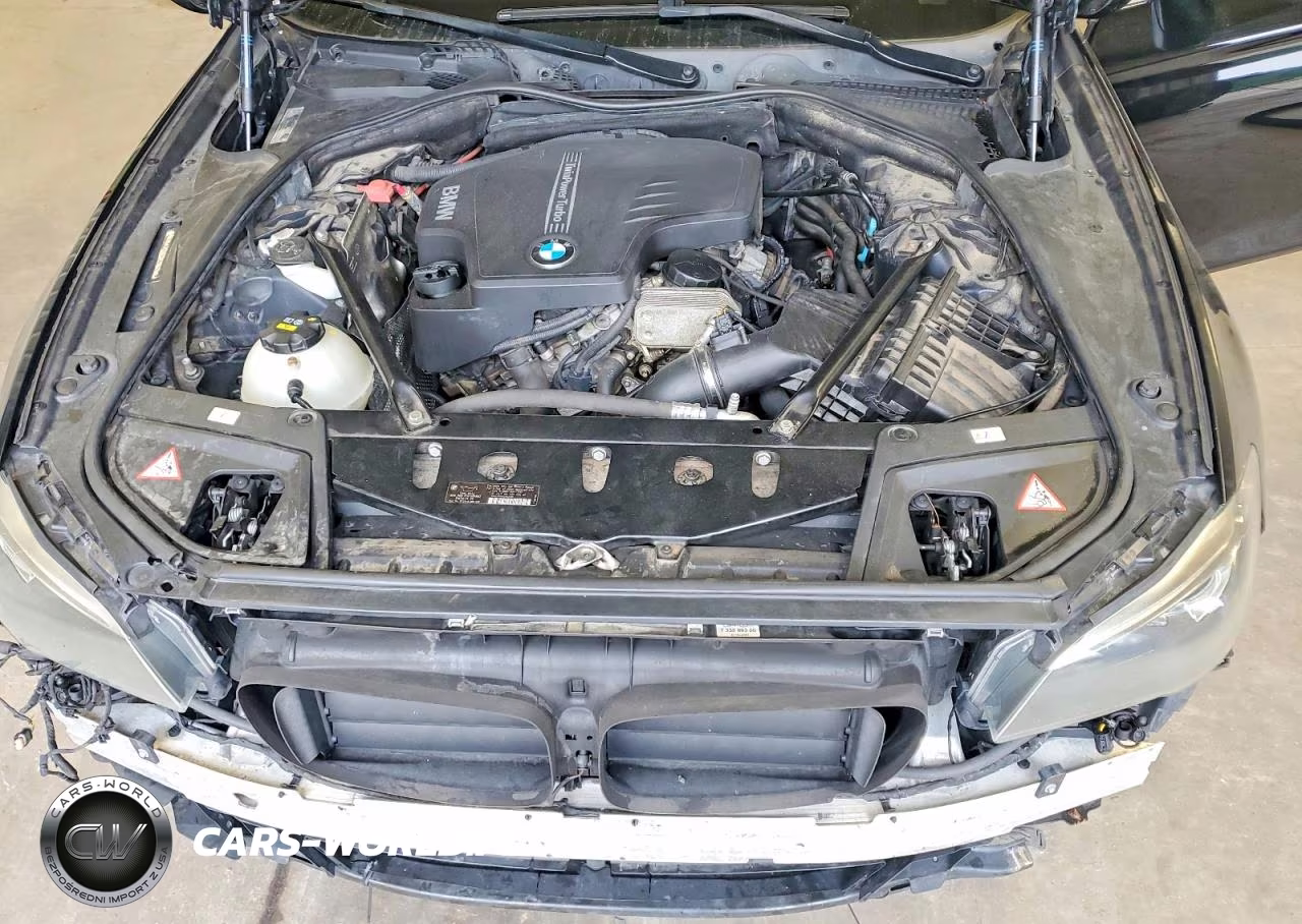 2015 BMW 528 Xi VIN:WBA5A7C58FD621679 - 11