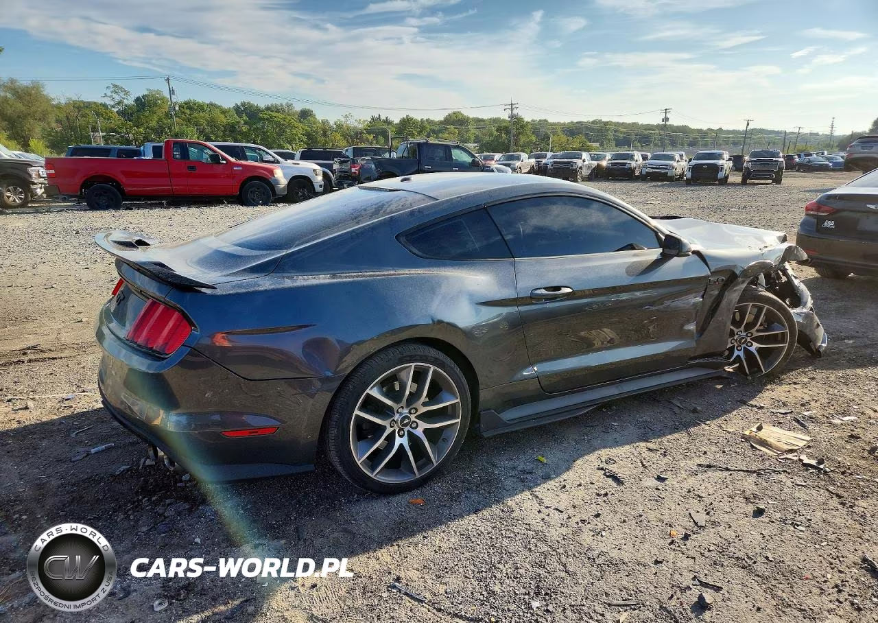 2015 Ford Mustang Gt VIN:1FA6P8CF8F5321497 - 3
