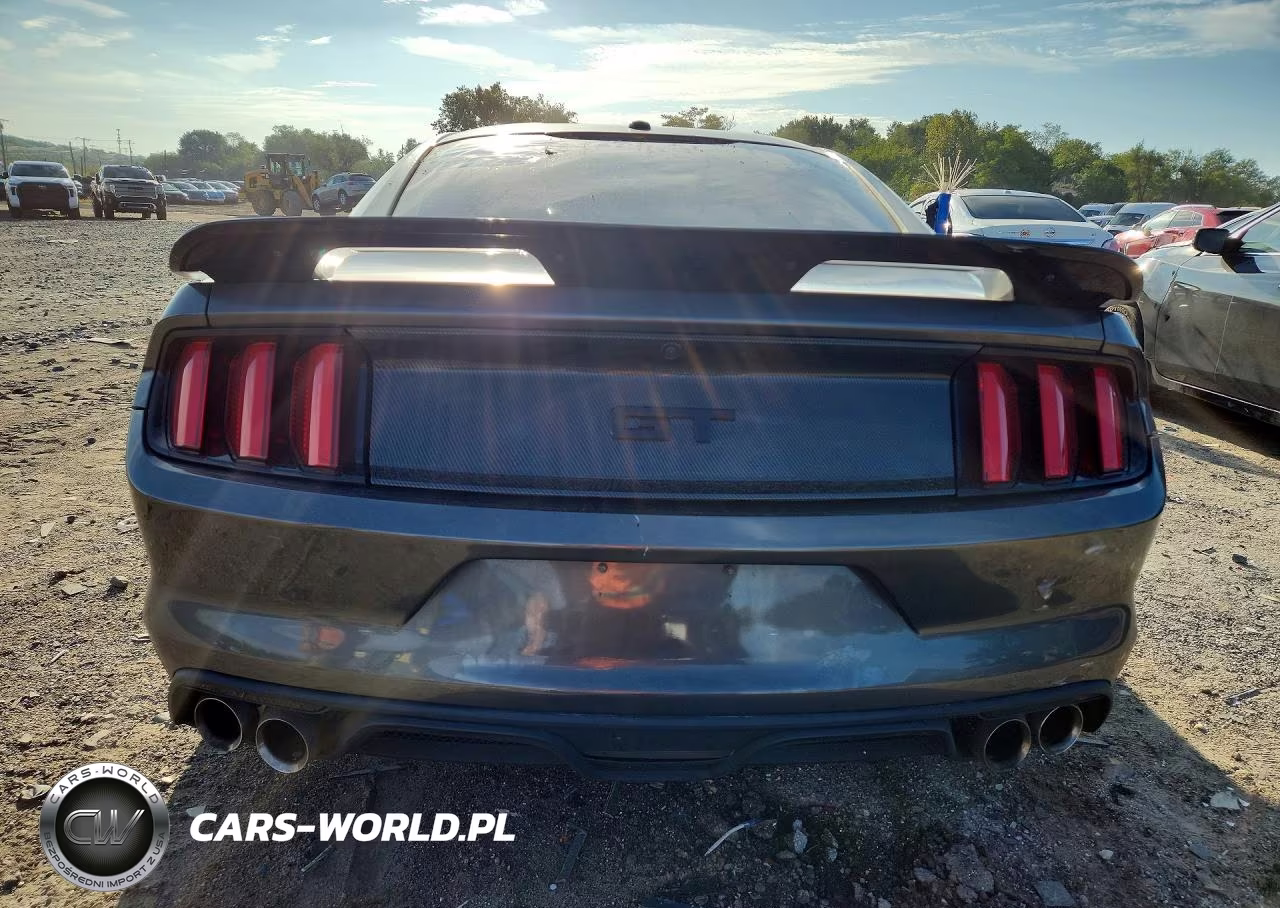 2015 Ford Mustang Gt VIN:1FA6P8CF8F5321497 - 6