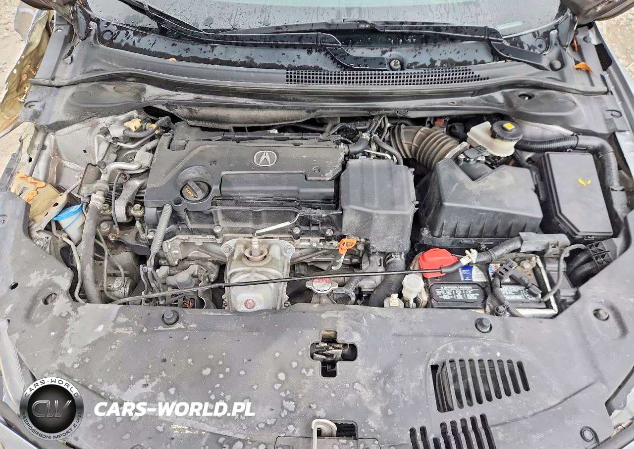 2019 Acura Ilx Premium VIN:19UDE2F77KA006217 - 11