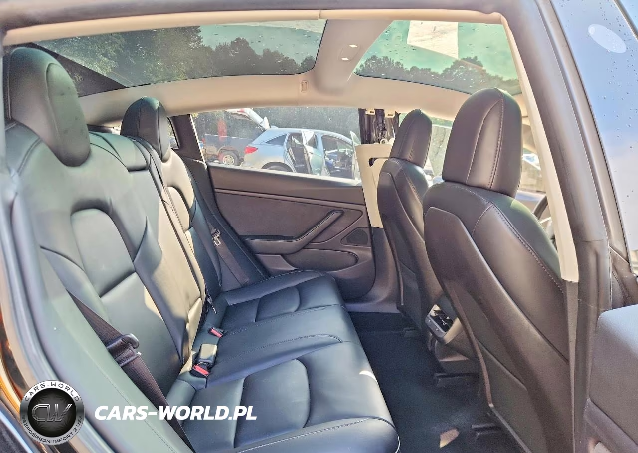 2019 Tesla Model 3 VIN:5YJ3E1EAXKF466528 - 10