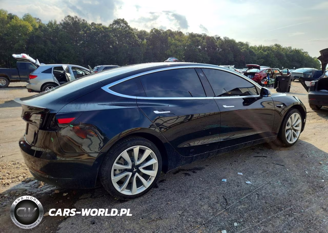 2019 Tesla Model 3 VIN:5YJ3E1EAXKF466528 - 3
