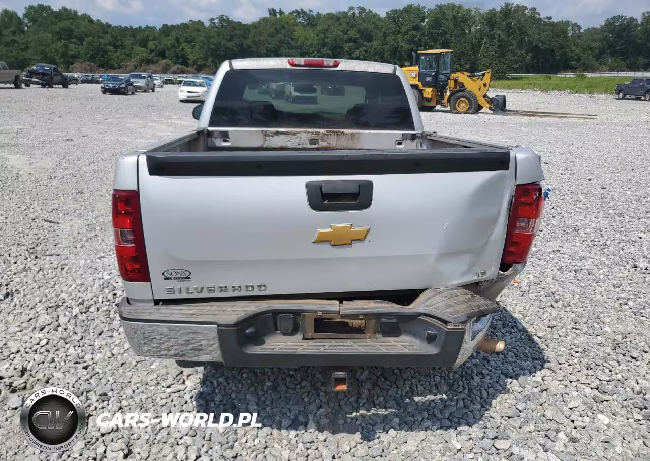 2013 Chevrolet Silverado C1500 VIN:1GCRCPEA2DZ399603 - 6