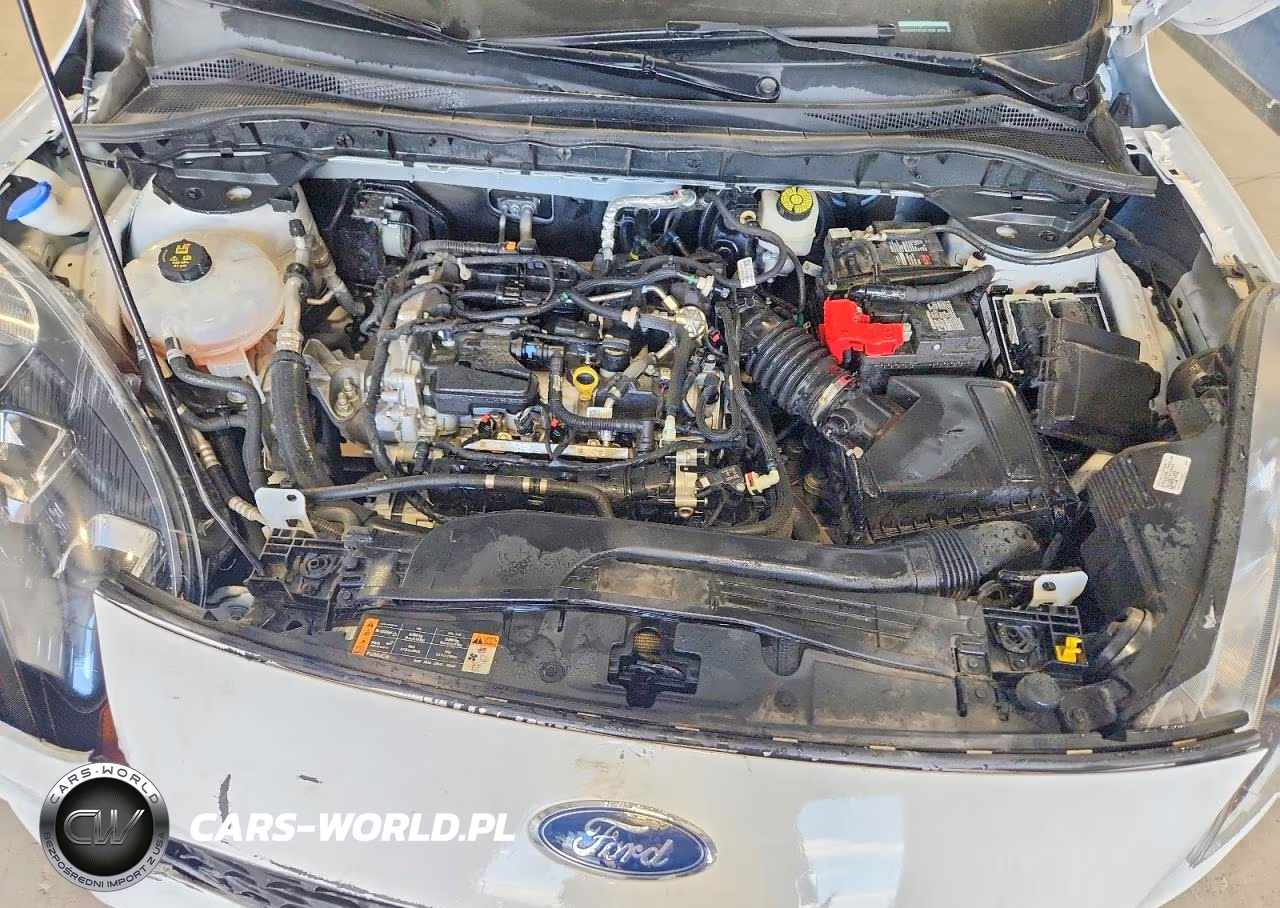 2021 Ford Escape S VIN:1FMCU0F67MUA11598 - 12