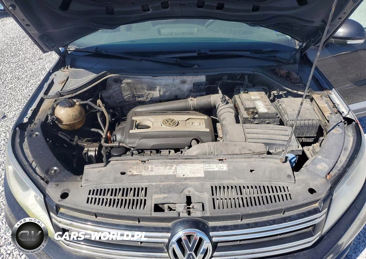 2013 Volkswagen Tiguan S VIN:WVGAV7AX5DW537567 - 12
