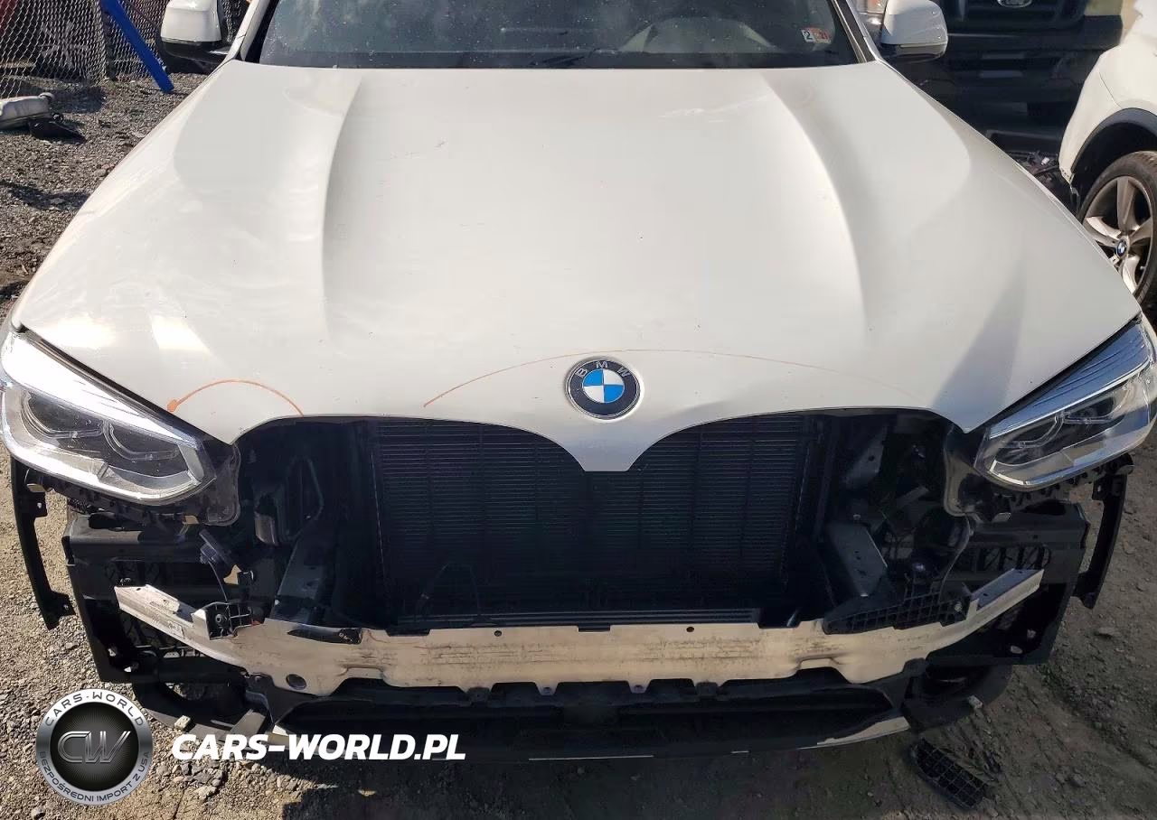 2020 BMW X3 xDrive30I VIN:5UXTY5C0XL9C41306 - 11