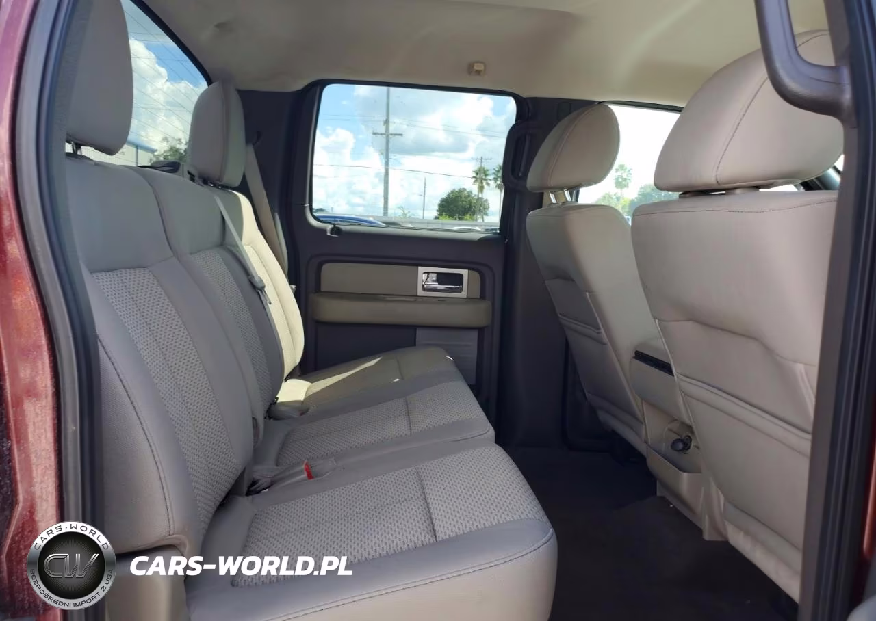 2010 Ford F150 Supercrew VIN:1FTEW1C81AFB83936 - 10