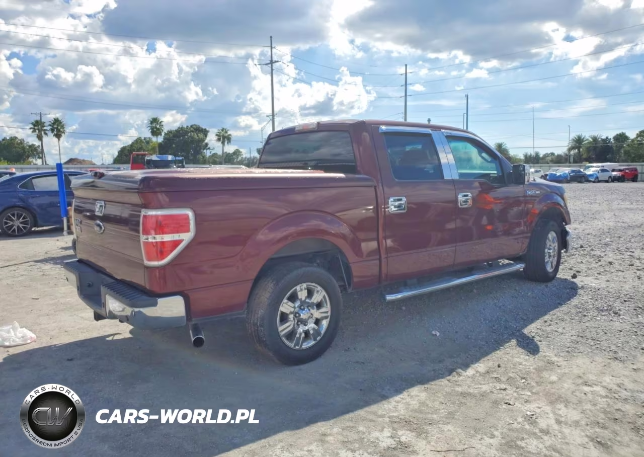 2010 Ford F150 Supercrew VIN:1FTEW1C81AFB83936 - 3