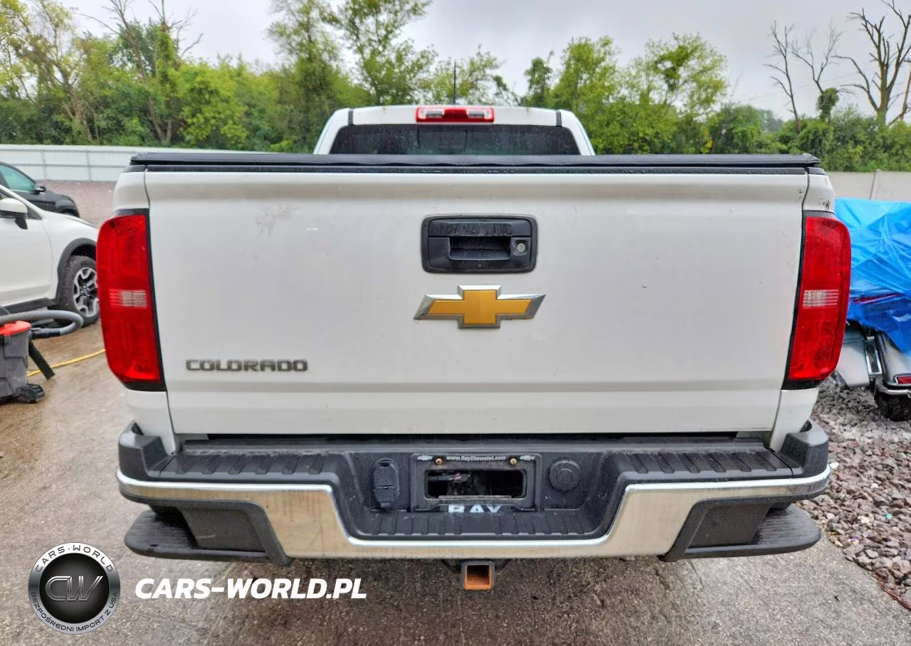 2018 Chevrolet Colorado VIN:1GCHSBEA0J1192039 - 6