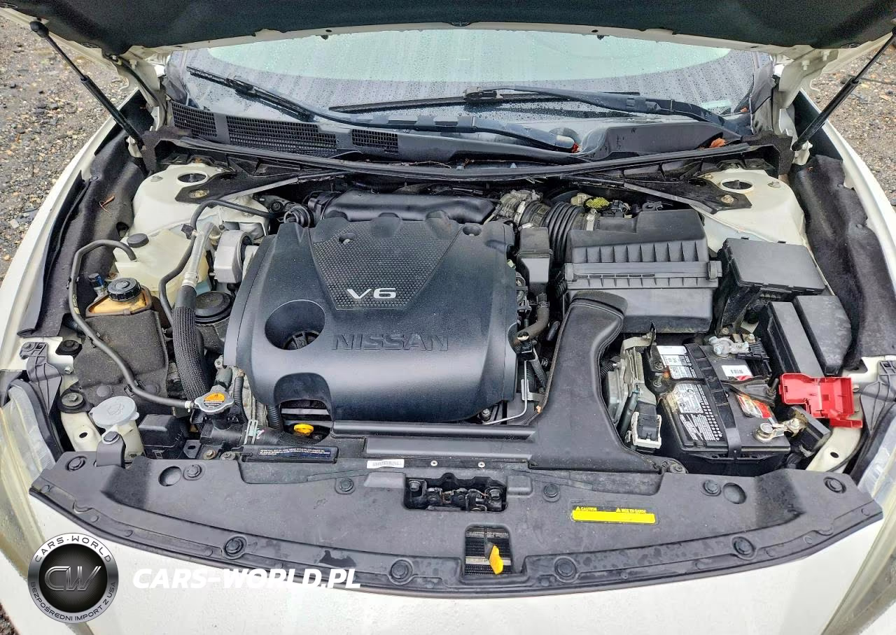 2016 Nissan Maxima Platinum VIN:1N4AA6AP2GC403637 - 11