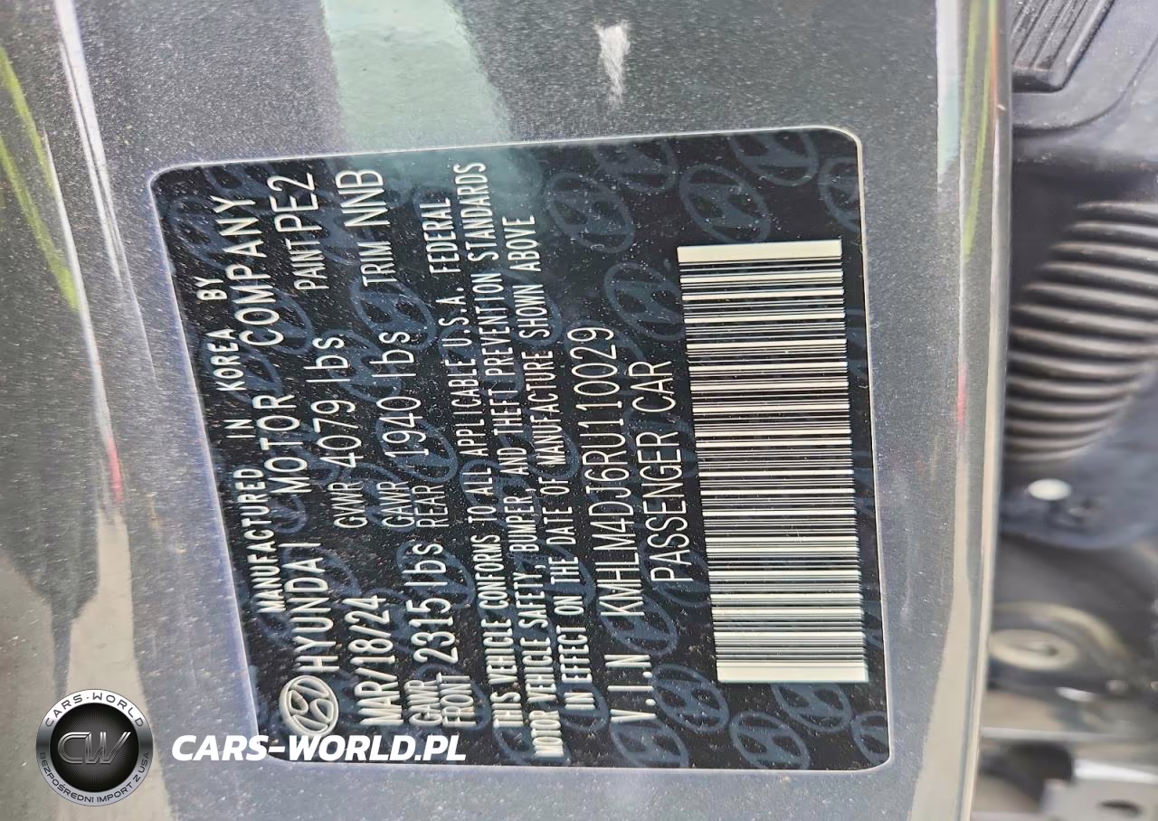 2024 Hyundai Elantra Blue VIN:KMHLM4DJ6RU110029 - 13