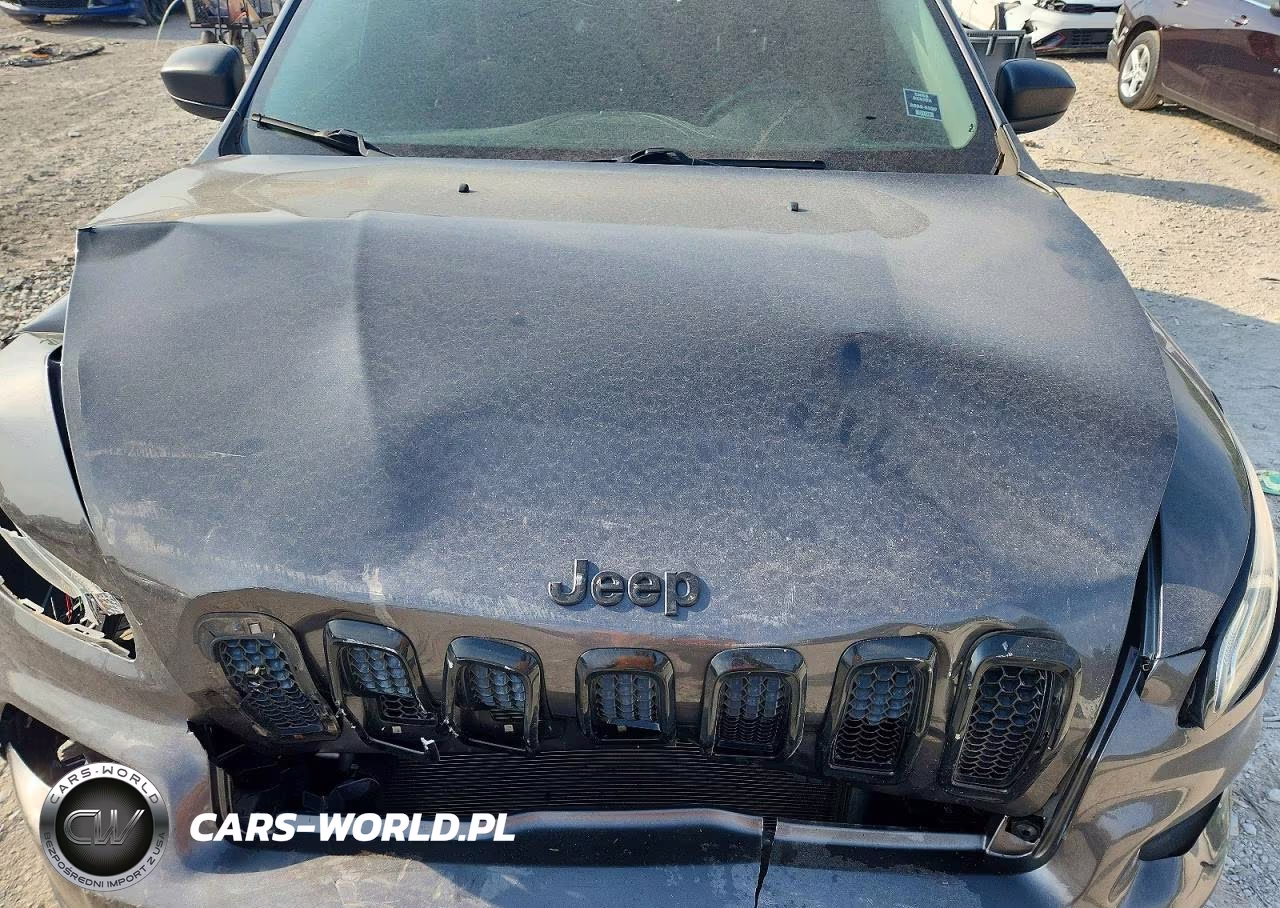 2017 Jeep Cherokee Sport VIN:1C4PJLAB1HW667164 - 12