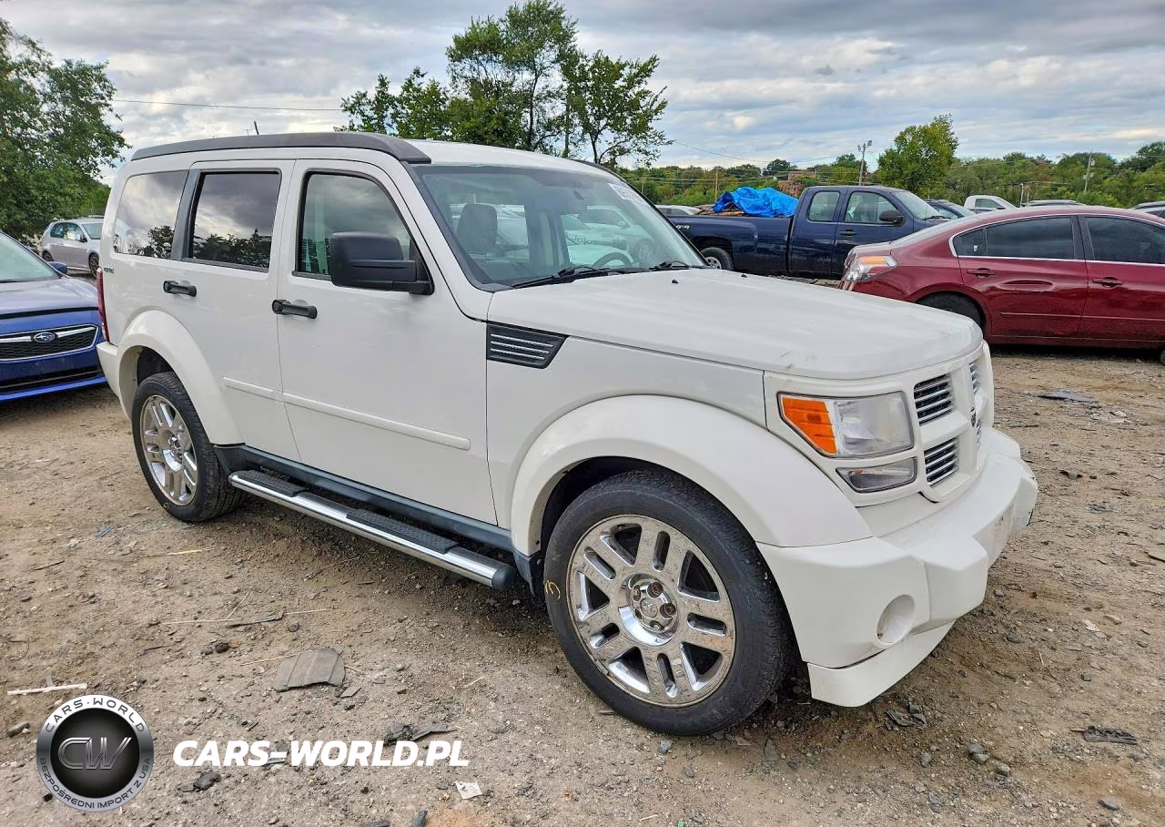 2010 Dodge Nitro Sxt VIN:1D4PU5GK4AW113684 - 4