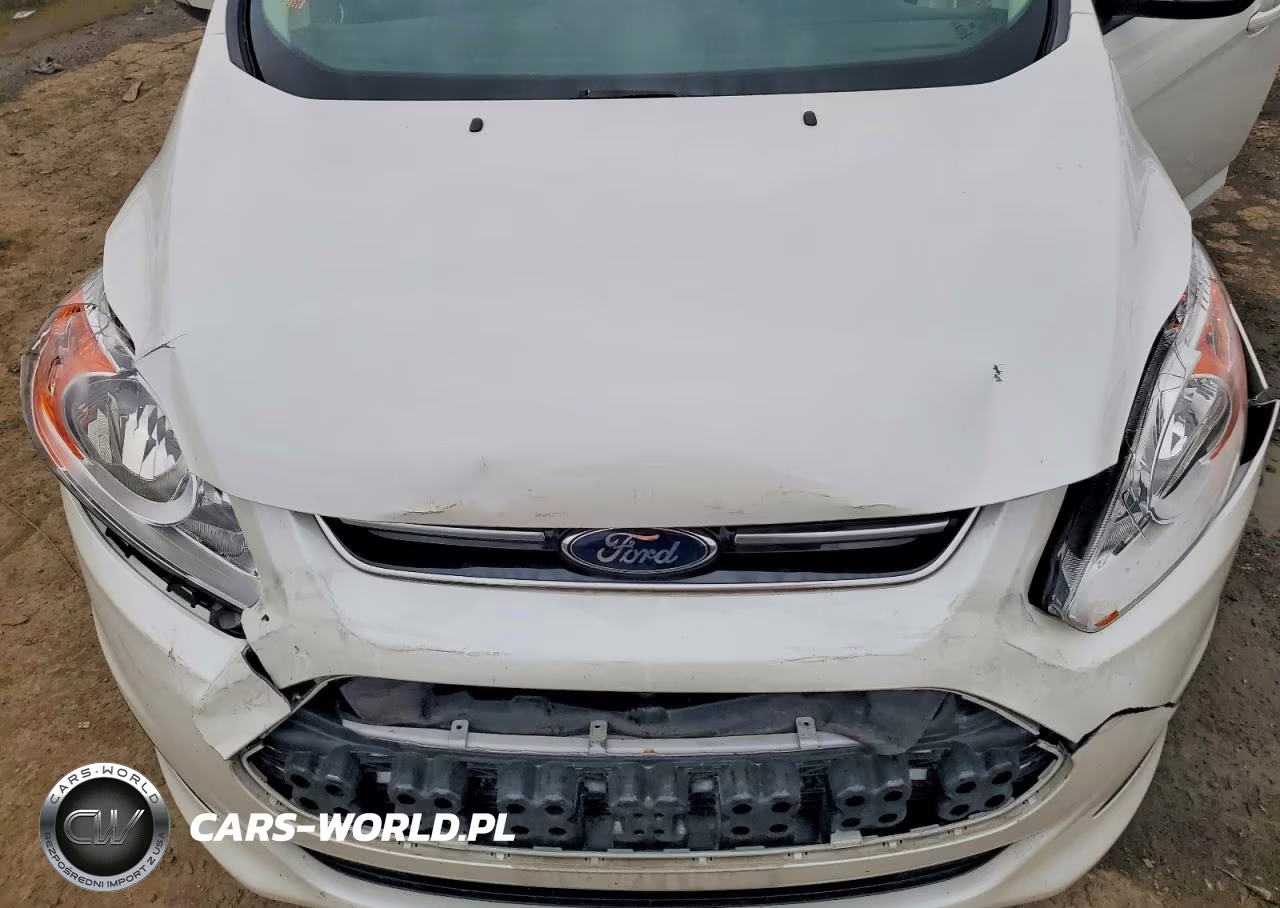 2016 Ford C-Max Se VIN:1FADP5AU6GL104258 - 12
