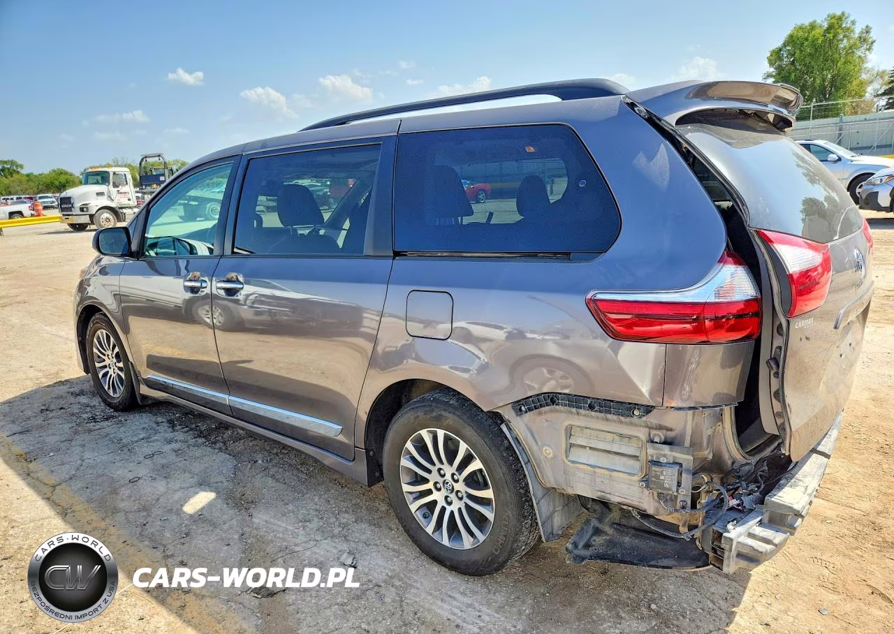 2019 Toyota Sienna Xle 8-Passenger VIN:5TDYZ3DC9KS988975 - 2