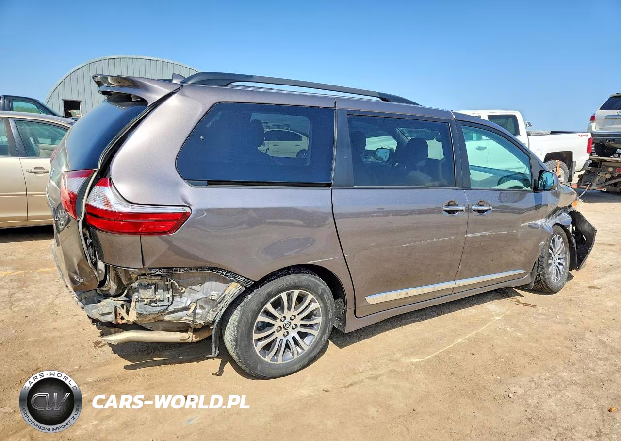 2019 Toyota Sienna Xle 8-Passenger VIN:5TDYZ3DC9KS988975 - 3