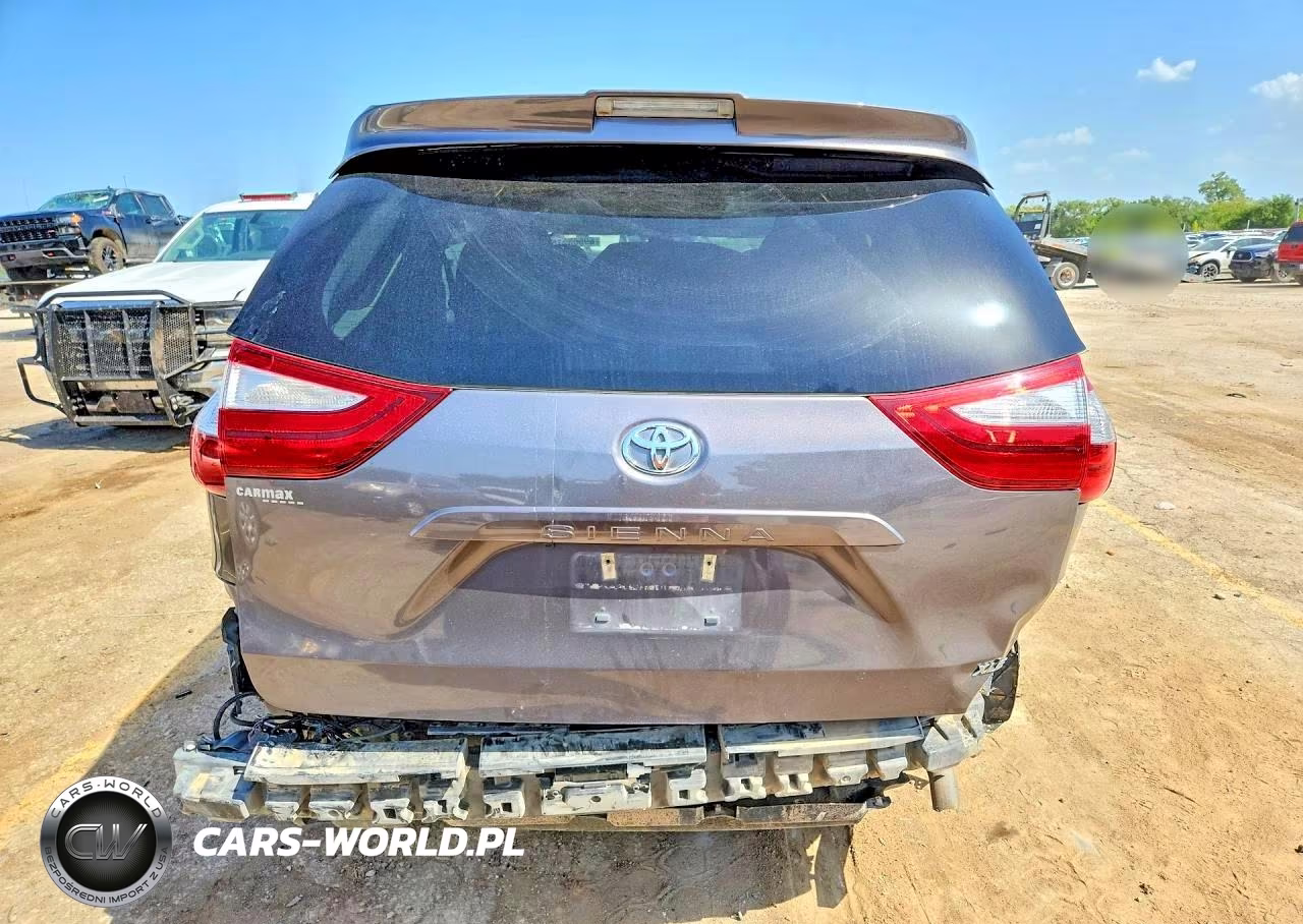 2019 Toyota Sienna Xle 8-Passenger VIN:5TDYZ3DC9KS988975 - 6