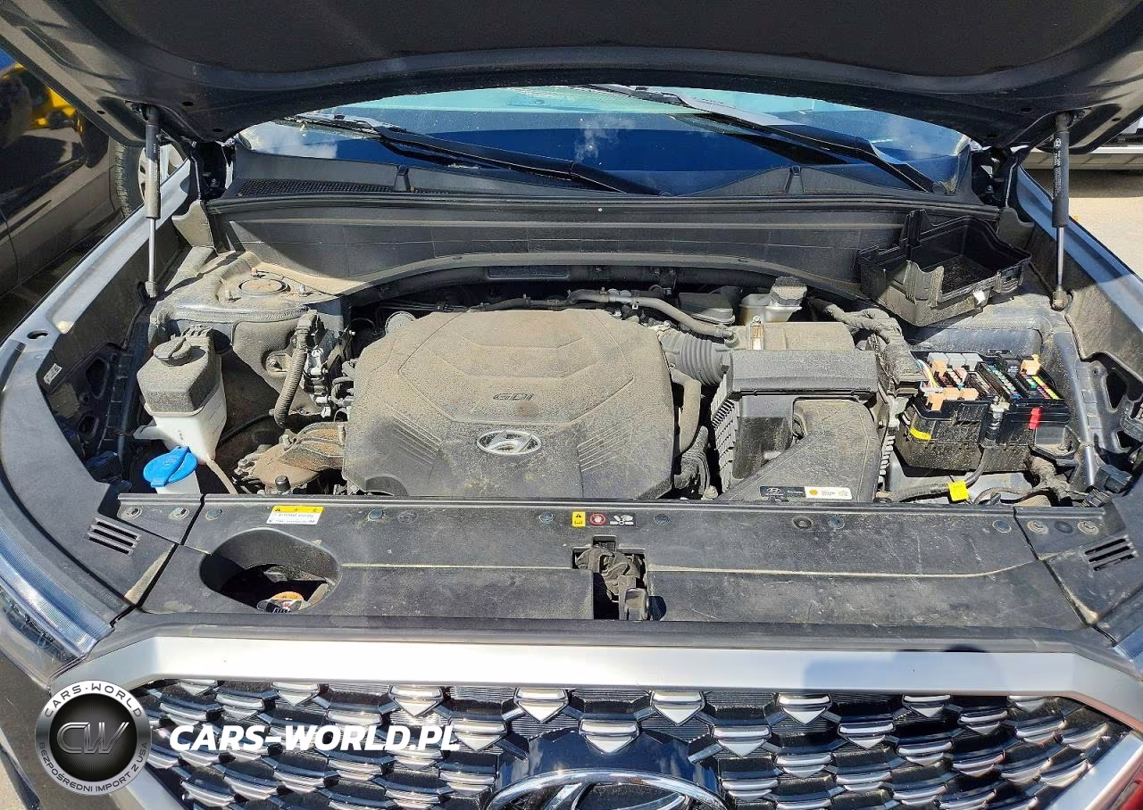 2022 Hyundai Palisade Calligraphy VIN:KM8R7DHE1NU376843 - 12