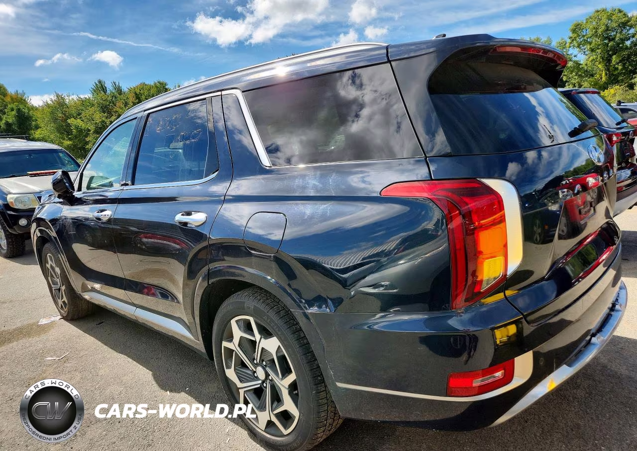 2022 Hyundai Palisade Calligraphy VIN:KM8R7DHE1NU376843 - 2