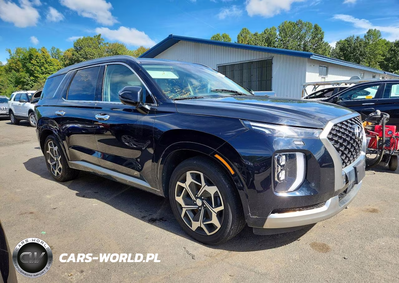 2022 Hyundai Palisade Calligraphy VIN:KM8R7DHE1NU376843 - 4