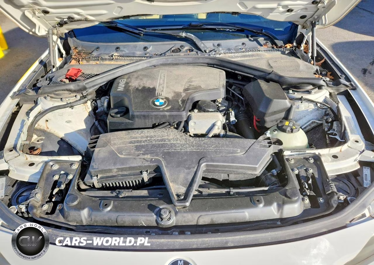 2015 BMW 320 I xDrive VIN:WBA3C3C56FK202056 - 11