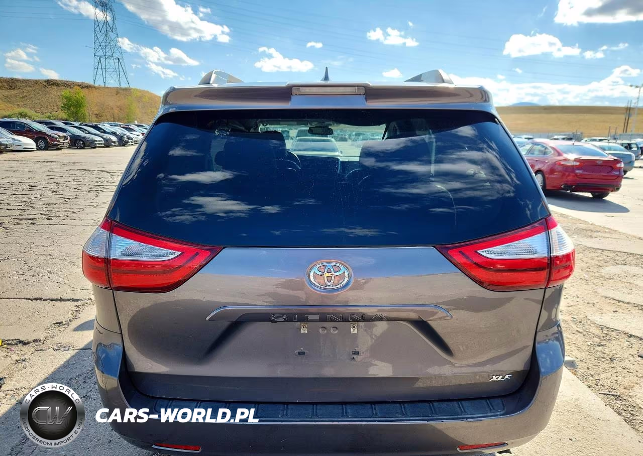 2018 Toyota Sienna Xle 8-Passenger VIN:5TDYZ3DC9JS928399 - 6