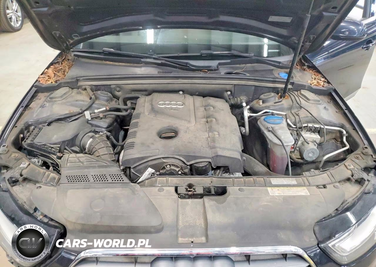 2013 Audi A4 Premium VIN:WAUBFAFL4DN041431 - 11