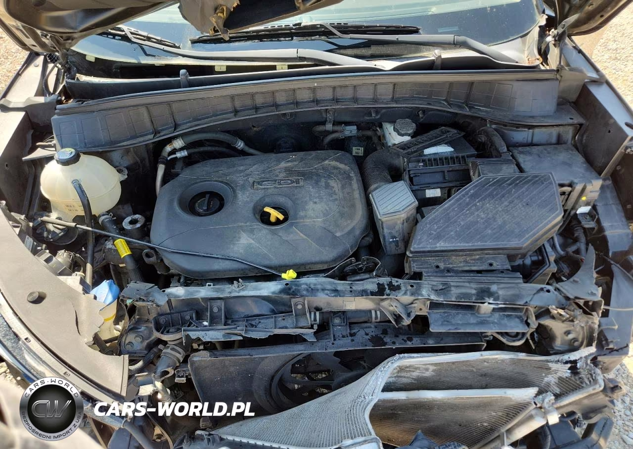 2018 Hyundai Tucson Sel Plus VIN:KM8J33A41JU801444 - 12
