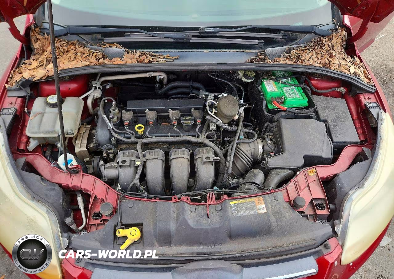 2013 Ford Focus Se VIN:1FADP3F25DL237455 - 11