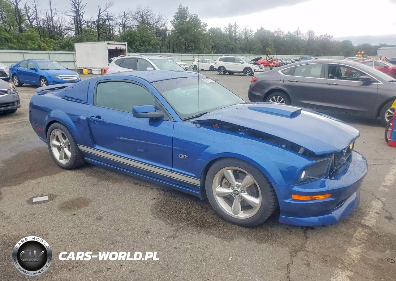 2008 Ford Mustang Gt VIN:1ZVHT82H885195417 - 4