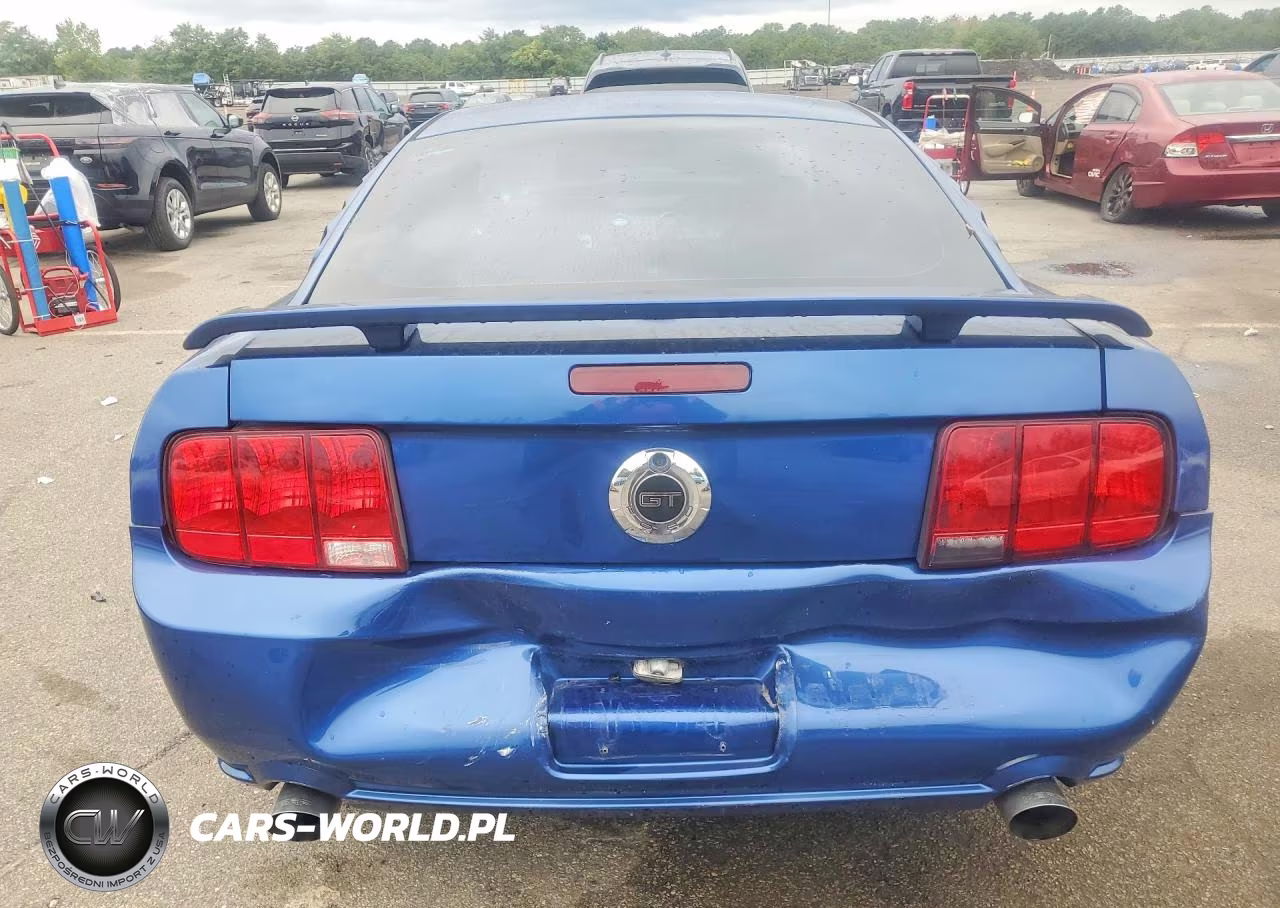 2008 Ford Mustang Gt VIN:1ZVHT82H885195417 - 6